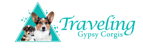 Welcome to Traveling Gypsy Corgis